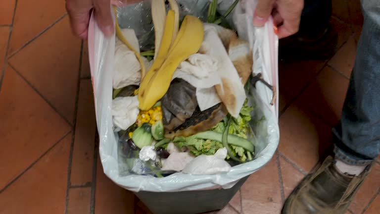 Best Yard Waste Removal  in Chadwicks, NY